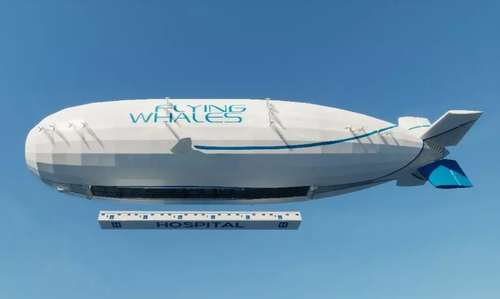 Flying Whales Picks India